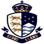 team-logo