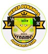 team-logo